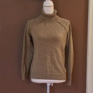 Karen Scott Petite Turtleneck Sweater